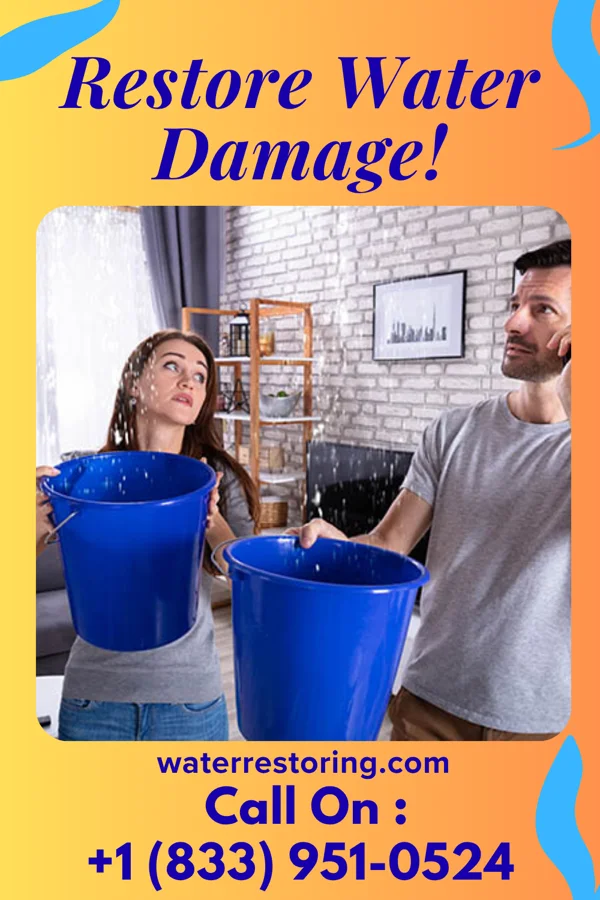 water restoration Direct Flood Cleanup Contractors Berkley