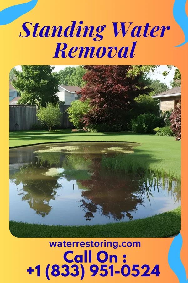 Standing Water Removal in Berkley, IA